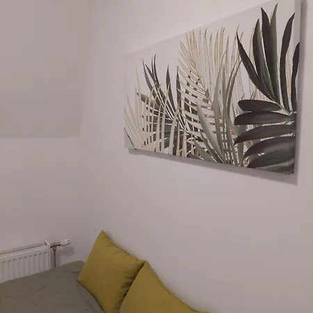 Appartamento Infinity Md Divcigora Divčibare