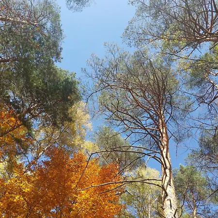 Infinity Md Divcigora *